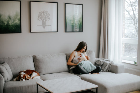 Alkohol ja Rinnapiim